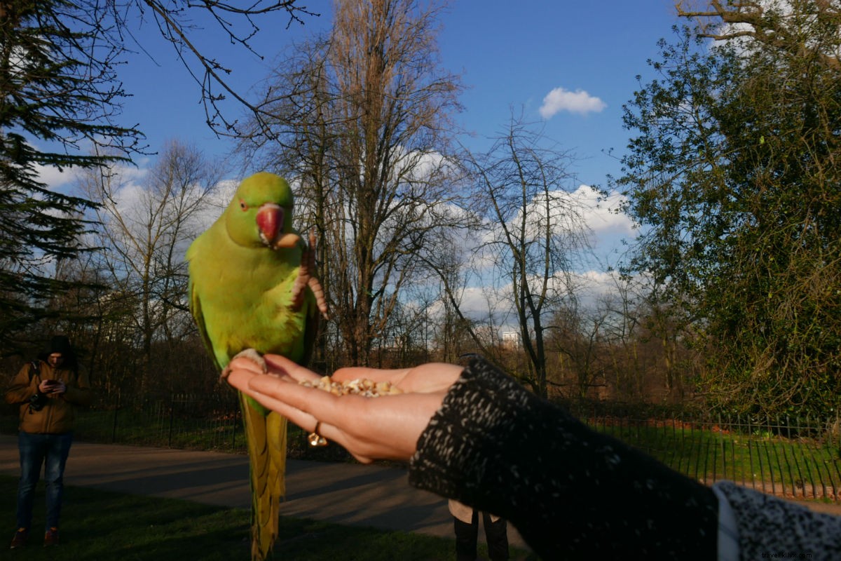 Discover The Milestone Hotel: Luxurious Mansion Living in London