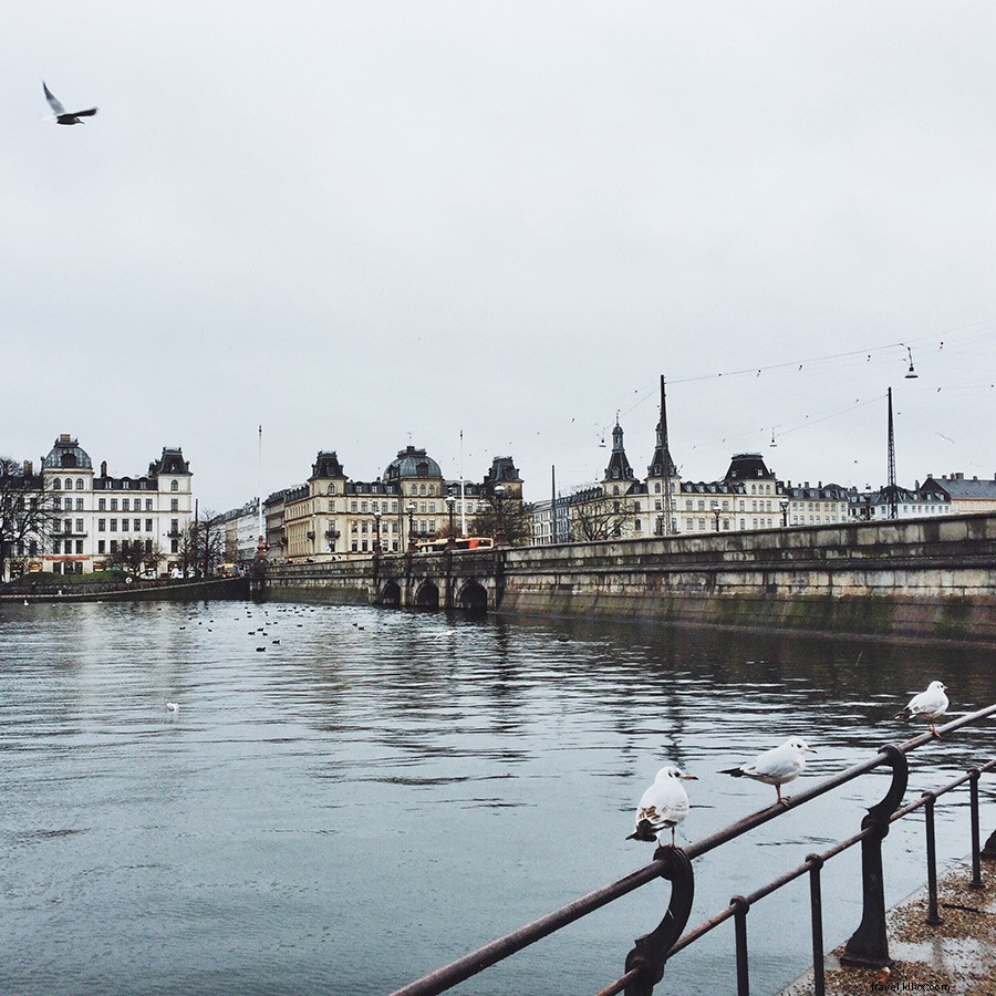 Discover Copenhagen with Guest Instagrammer Karen Sofie Egebo: A Local s Nomadic Journey