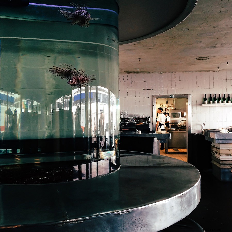 48 Hours in Photogenic Copenhagen: Stunning Photos & Insider Tips