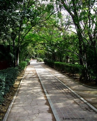 The People s Ultimate Guide to San Miguel de Allende: Insider Tips from a Passionate Traveler