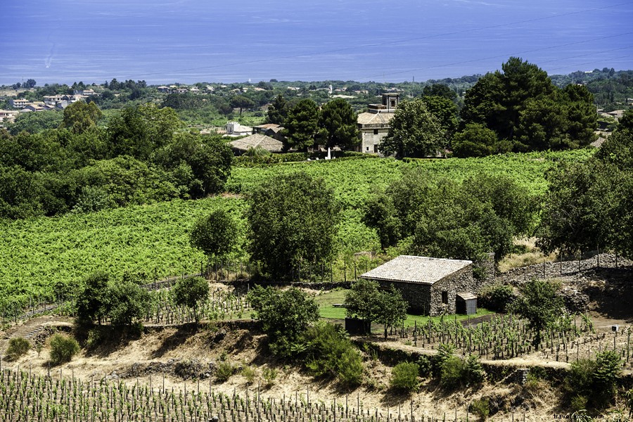 Discover Catania Like a True Sicilian: Local Designers  Hidden Gem