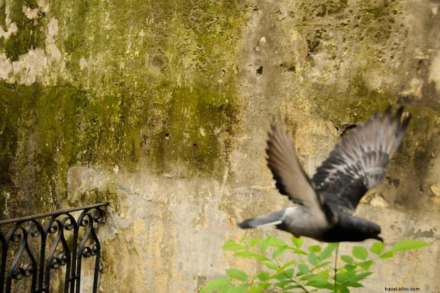 San Telmo, Argentina: A Photographer s Nostalgic Journey in Buenos Aires