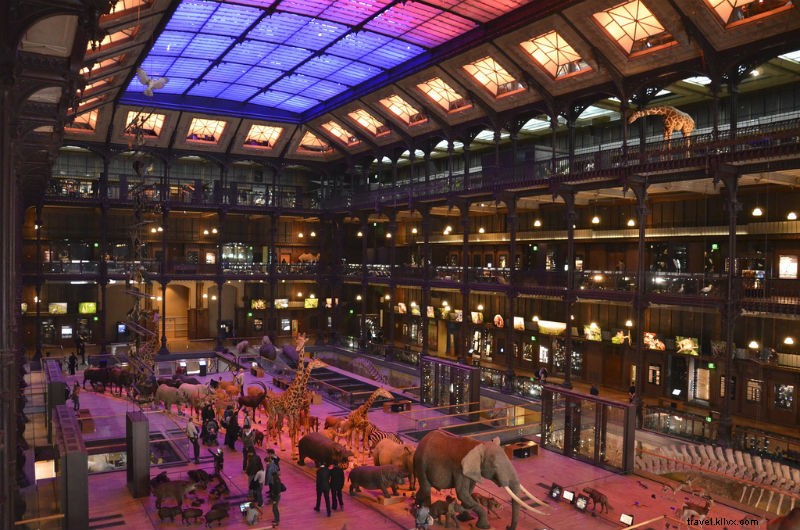 Noah s Ark Alive and Extinct: Paris  Stunning Gallery of Paleontology
