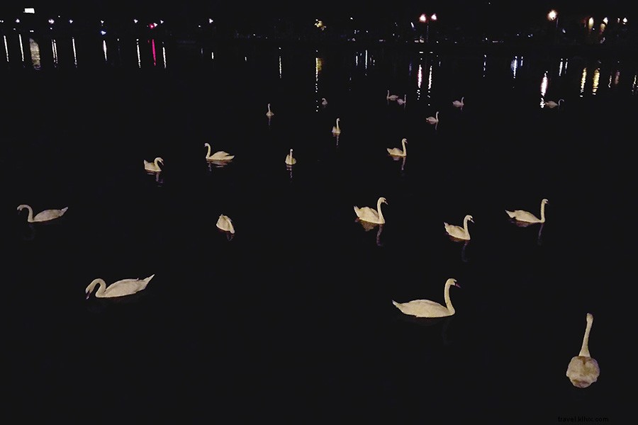 Exploring Brooklyn s Russian Enclave: A Culinary and Cultural Guide Beyond Little Russia