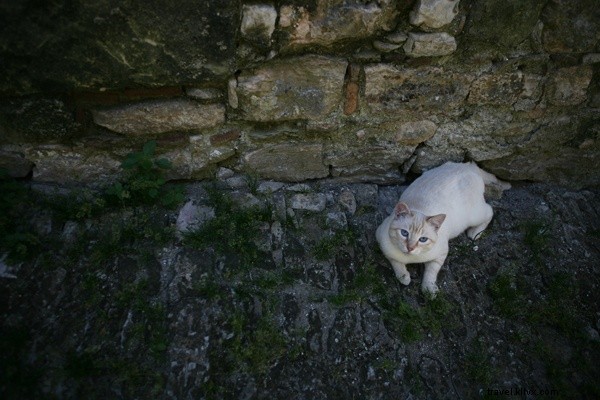 Escape to Sicily s Seaside Gems: Trapani and Erice Getaway Guide