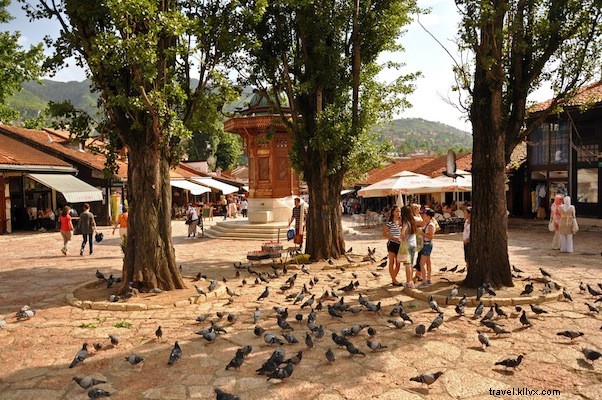 Discover Sarajevo: First Impressions of Bosnia s Historic Capital