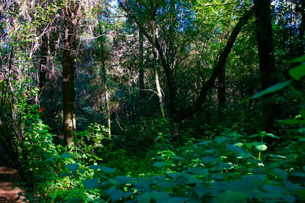 Insider Mexico City Guide: Art, Food & Tequila with Maestra Bertha González Nieves