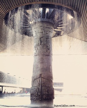 Insider Mexico City Guide: Art, Food & Tequila with Maestra Bertha González Nieves