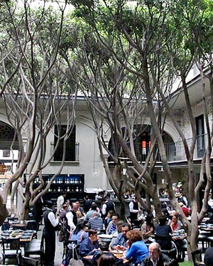 Insider Mexico City Guide: Art, Food & Tequila with Maestra Bertha González Nieves