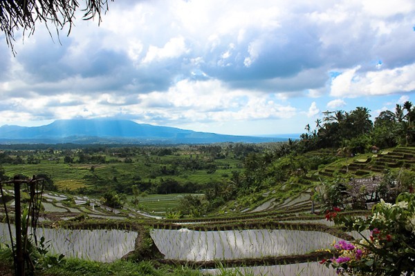 Discover Bali s Heavenly Countryside: Beyond the Beaches