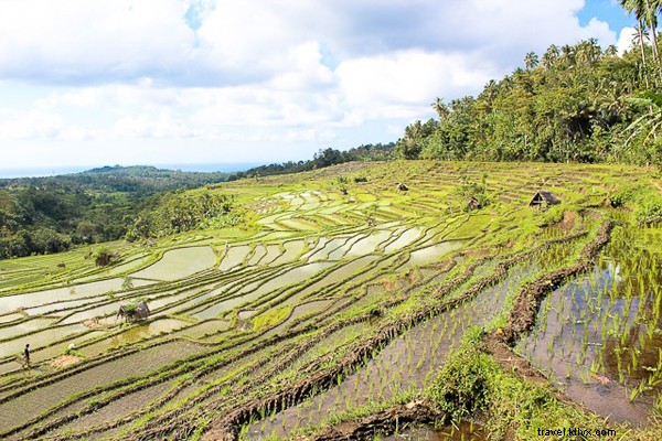 Discover Bali s Heavenly Countryside: Beyond the Beaches