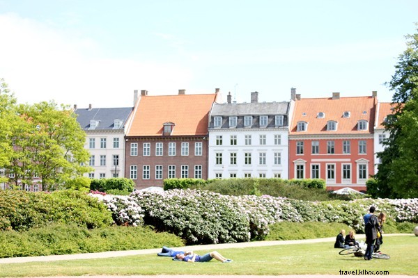 Discover Copenhagen s Hidden Gems with The House That Lars Built