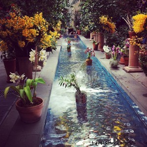 Heather Taylor s Enchanting Getaway to Washington D.C.: Insider Highlights