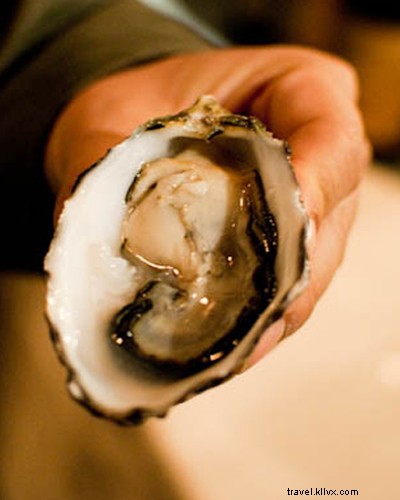 Just Back from São Paulo: Insights from a 140-Country Globetrotter