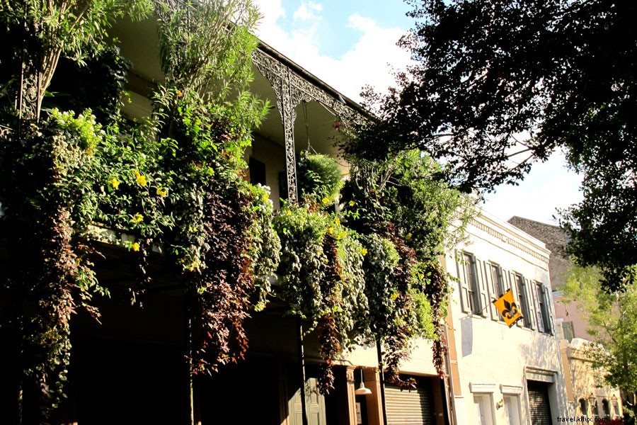 Ultimate New Orleans Travel Guide: Discover the Magic of the Big Easy