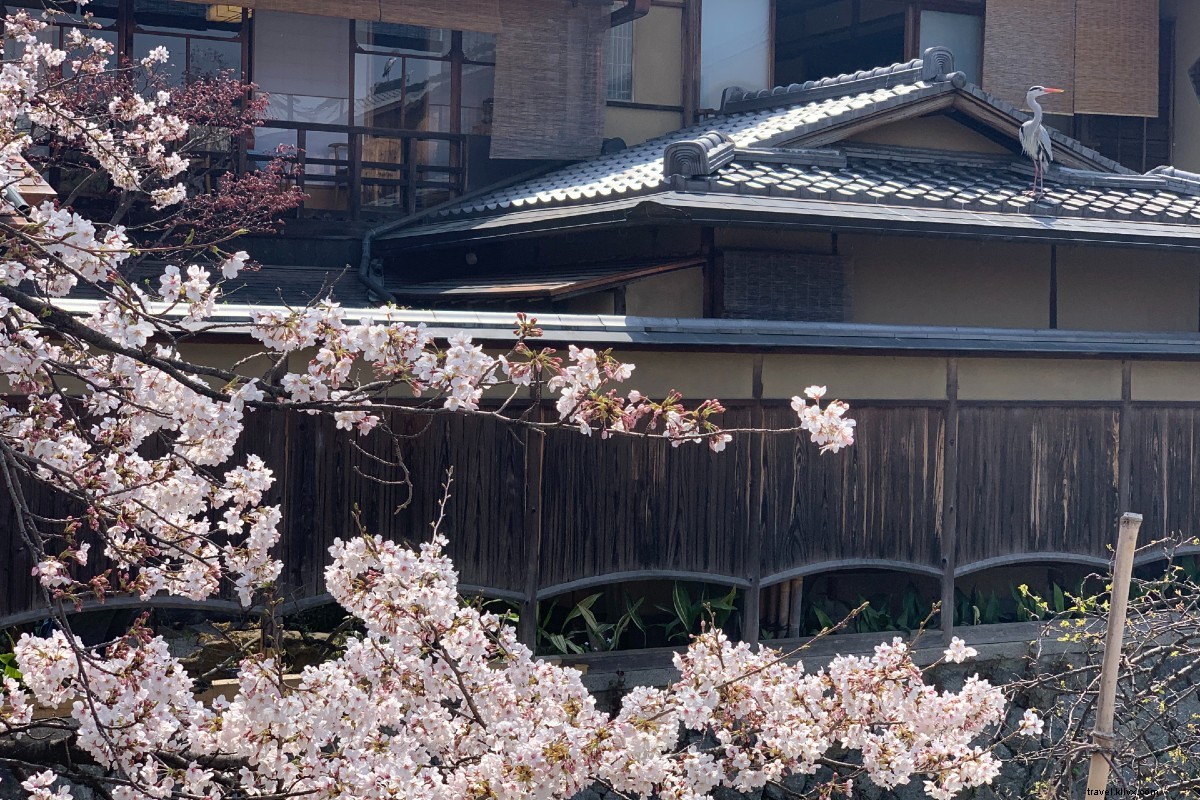 Japan s Stunning Beach Islands, Serene Hikes, Scenic Coastal Trains & Hidden National Treasures