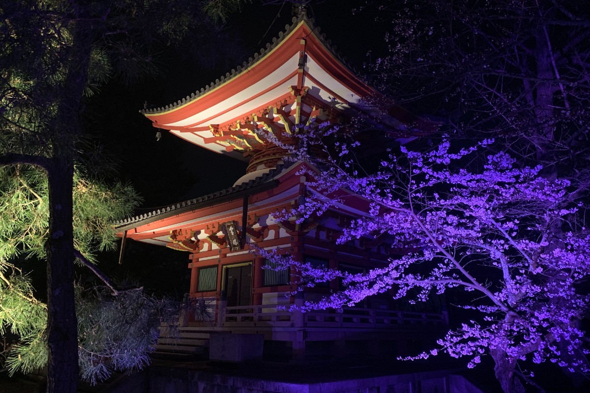 Japan s Stunning Beach Islands, Serene Hikes, Scenic Coastal Trains & Hidden National Treasures