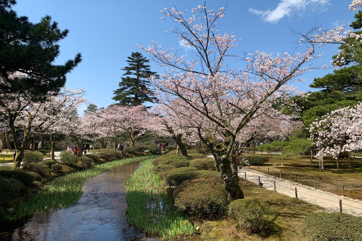 Japan s Stunning Beach Islands, Serene Hikes, Scenic Coastal Trains & Hidden National Treasures