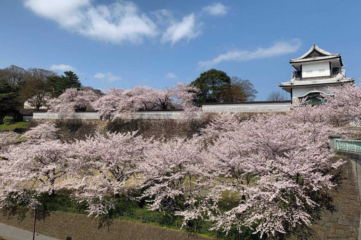 Japan s Stunning Beach Islands, Serene Hikes, Scenic Coastal Trains & Hidden National Treasures