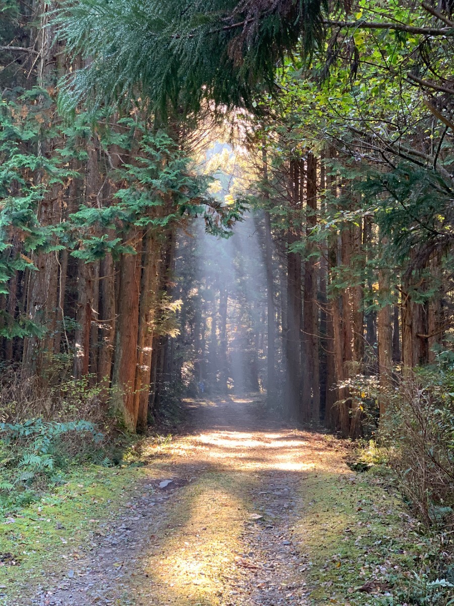 Japan s Stunning Beach Islands, Serene Hikes, Scenic Coastal Trains & Hidden National Treasures