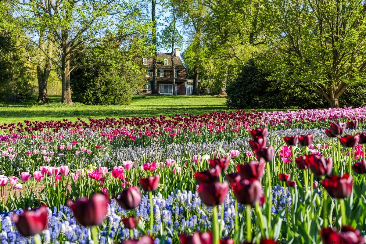 Discover Serenity: 7 Contemplative Gardens to Embrace the Joy of Slowing Down