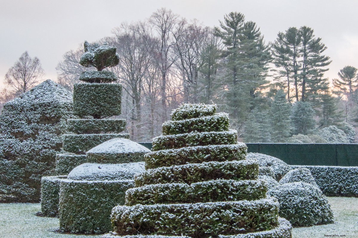 Discover Serenity: 7 Contemplative Gardens to Embrace the Joy of Slowing Down