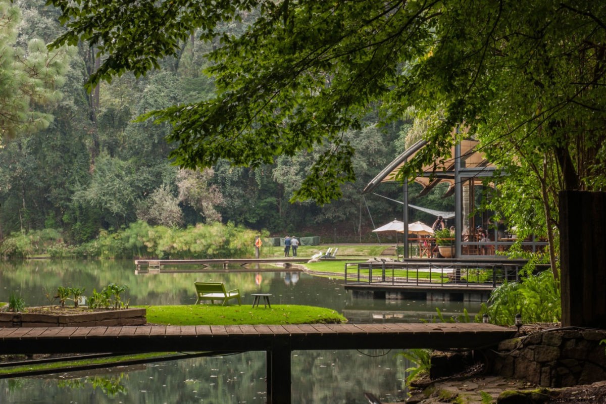 Discover Valle de Bravo: Mexico City s Premier Local Escape