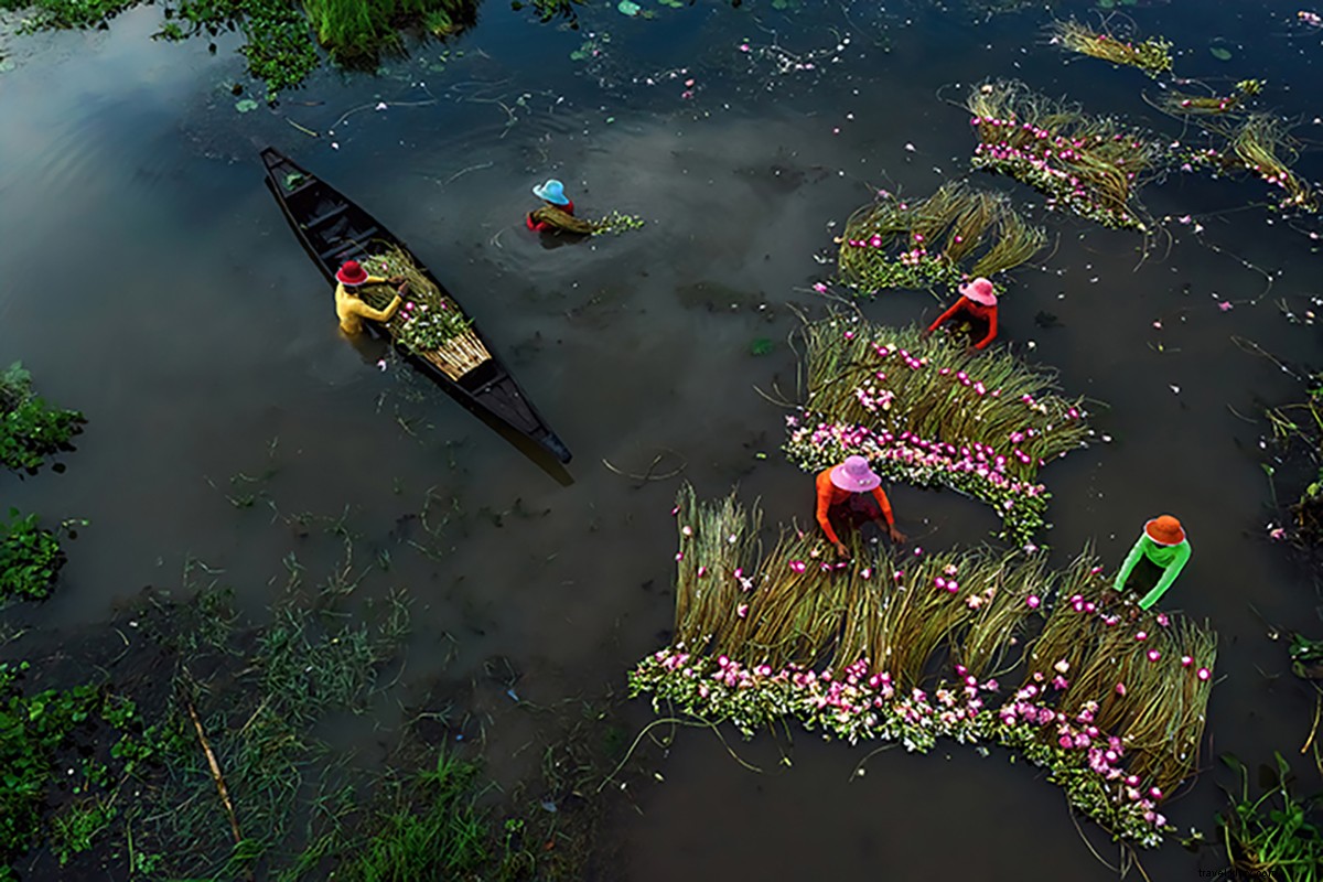 Stunning Drone Views: Life on India s Waters Through Shibasish Saha s Lens