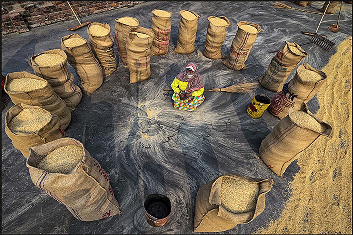 Stunning Drone Views: Life on India s Waters Through Shibasish Saha s Lens