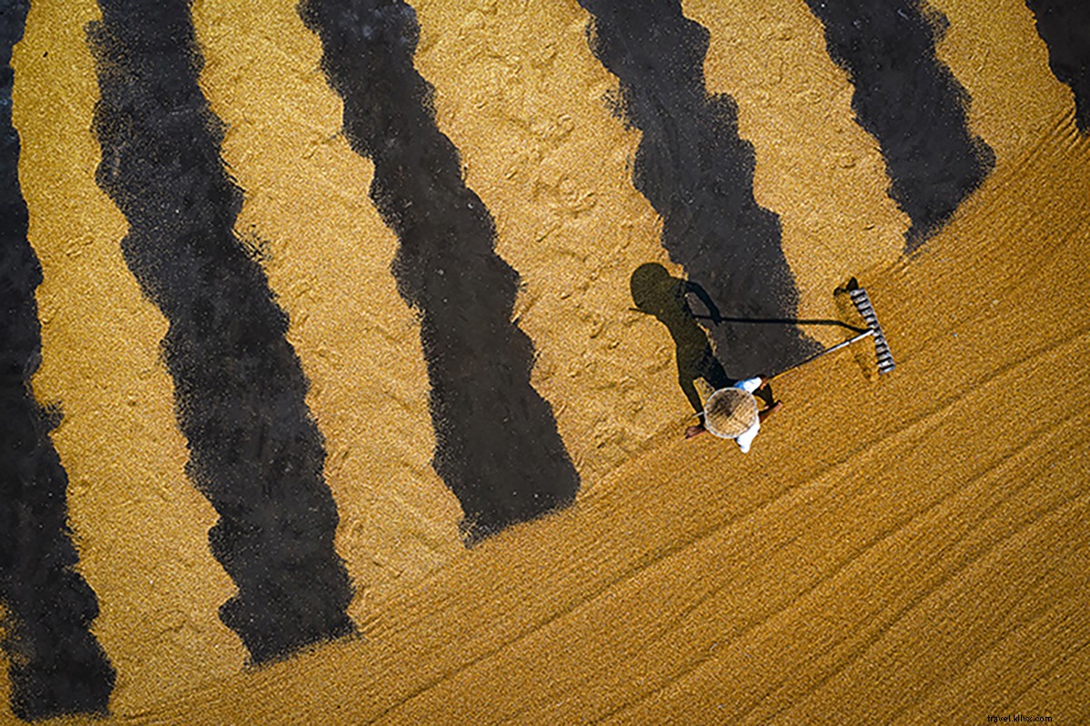 Stunning Drone Views: Life on India s Waters Through Shibasish Saha s Lens