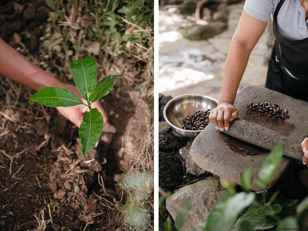 Discovering Nicaragua s Wild Beauty: A Regenerative Sustainable Adventure