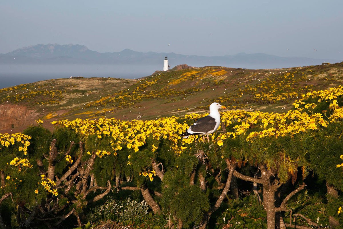 Celebrating 104 Years: 15 Lesser-Known National Park Gems Near You