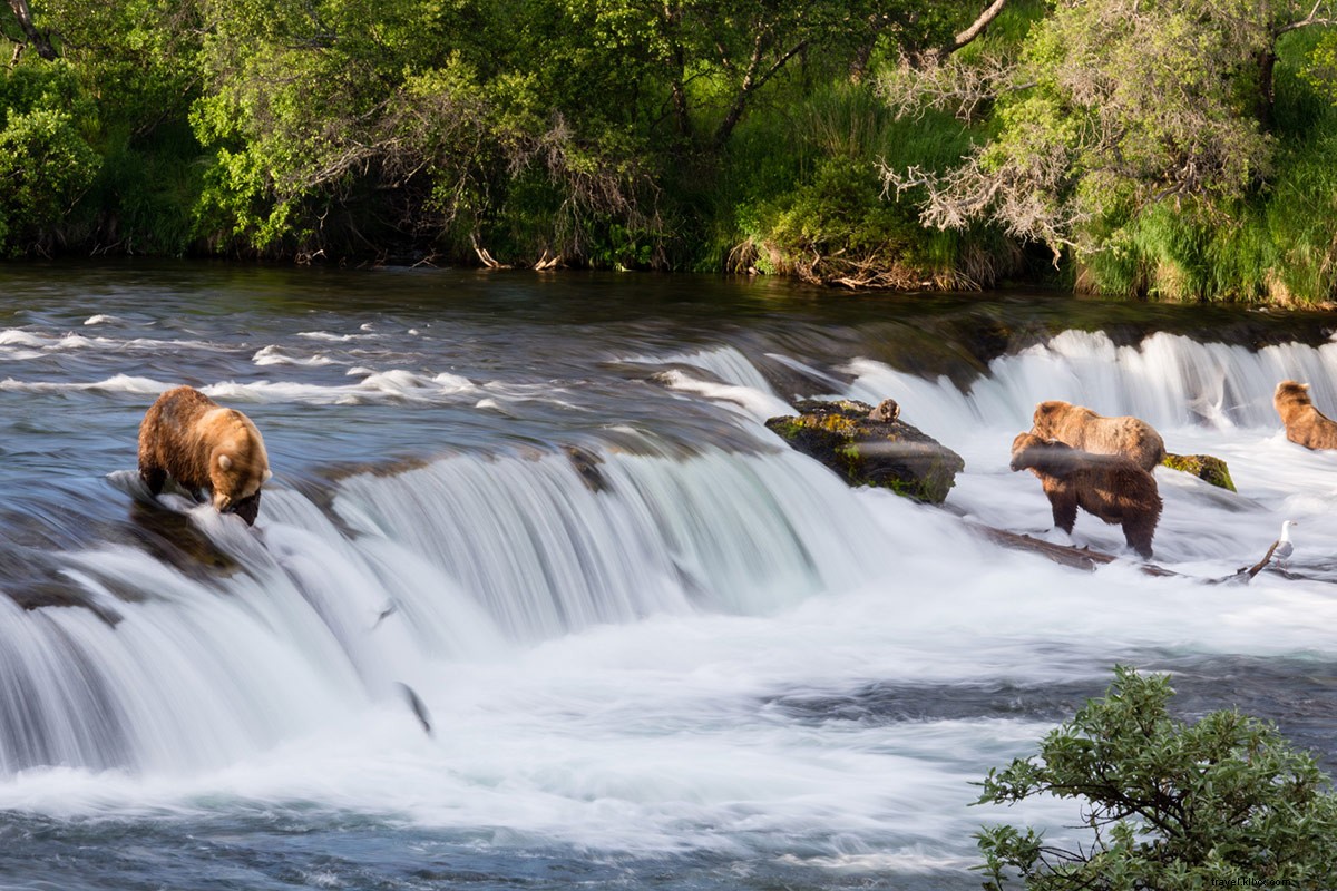 Celebrating 104 Years: 15 Lesser-Known National Park Gems Near You