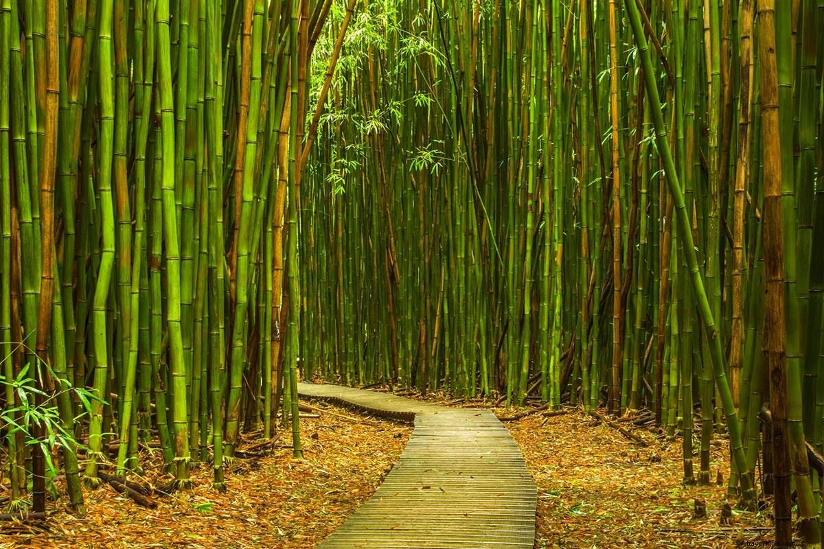 Celebrating 104 Years: 15 Lesser-Known National Park Gems Near You