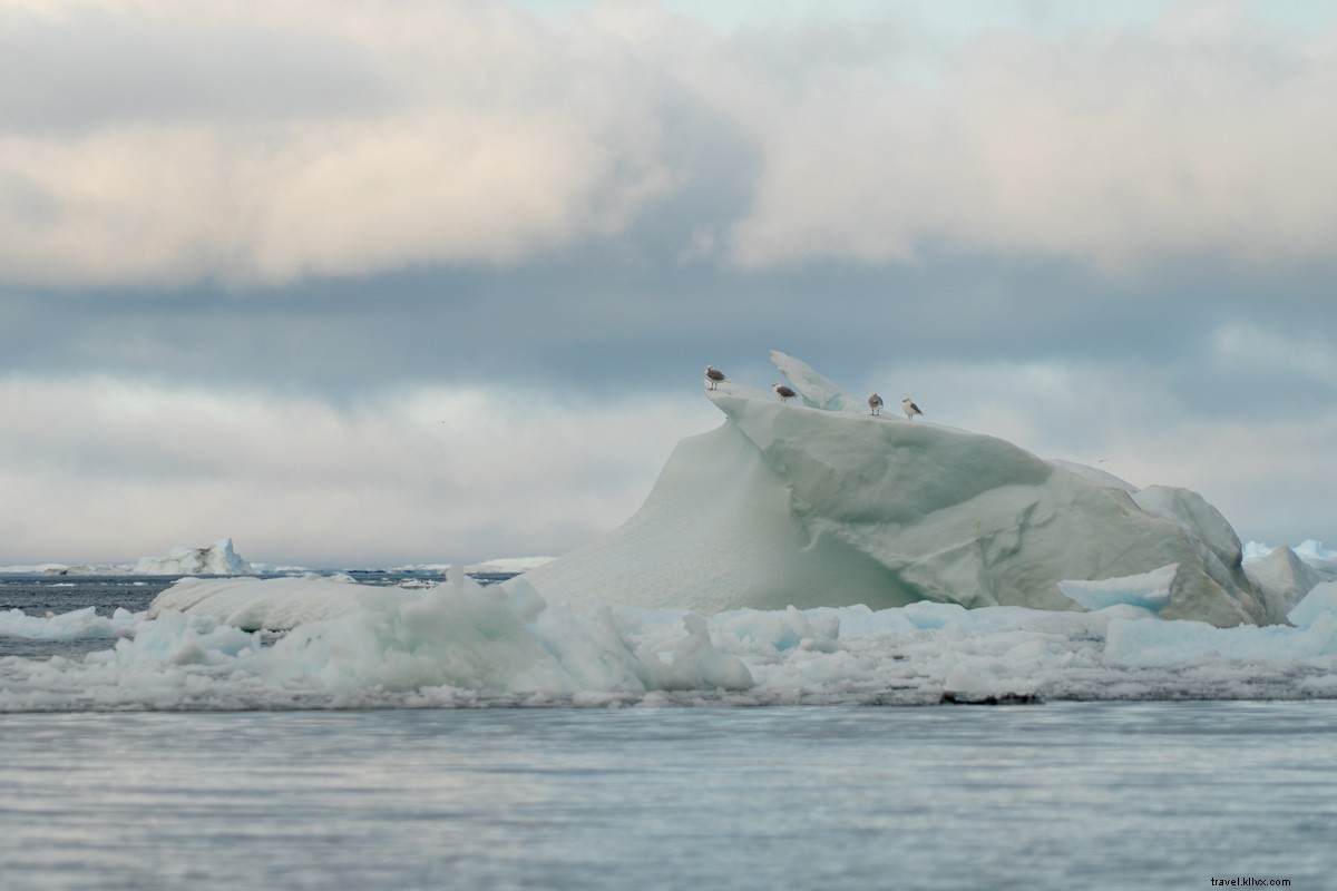 Discover Greenland Responsibly: An Epic Journey to Earth s Remote Frontiers