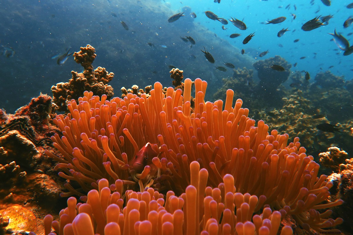 Virtual Tour of Thailand: Armchair Adventures from Home