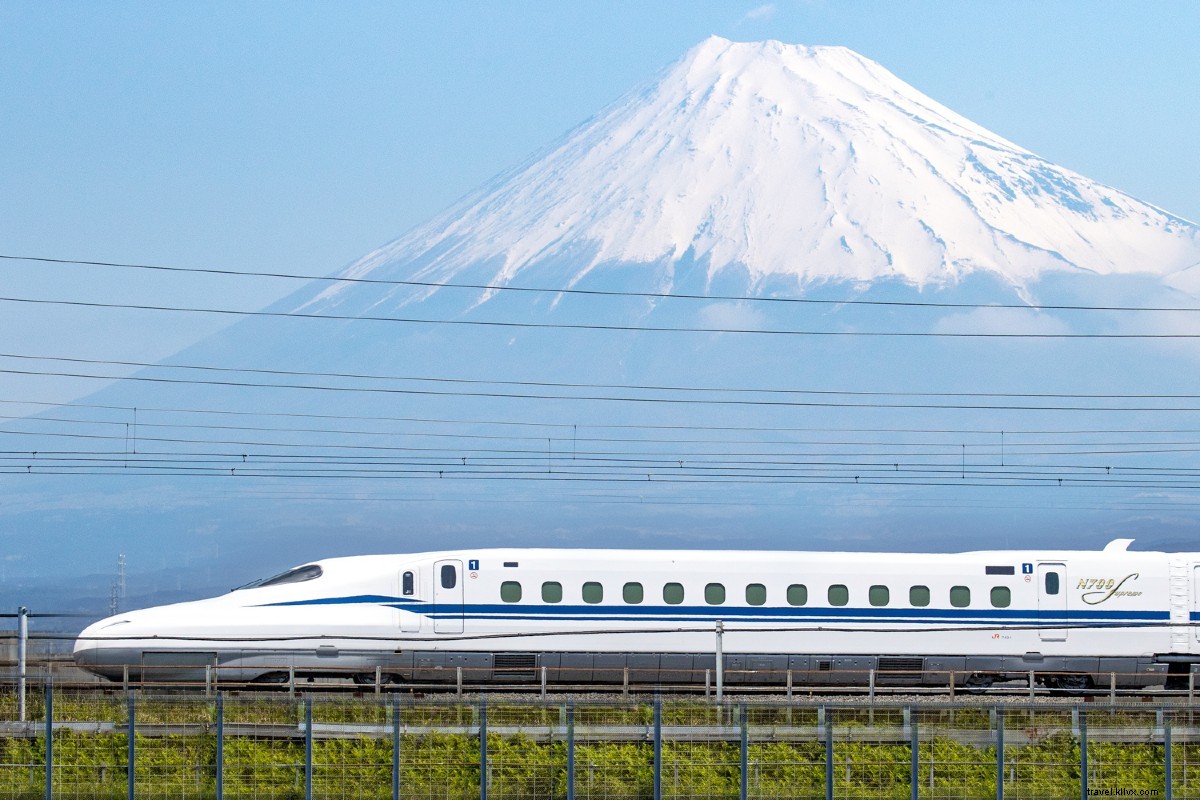Train Journey from Tokyo: Discover the Great Buddha, Sparkling Lakes & Mt. Fuji Up Close