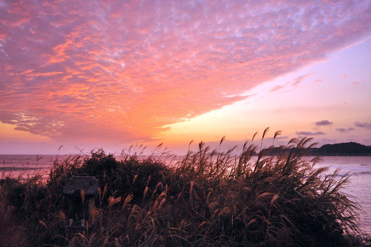 Train Journey from Tokyo: Discover the Great Buddha, Sparkling Lakes & Mt. Fuji Up Close