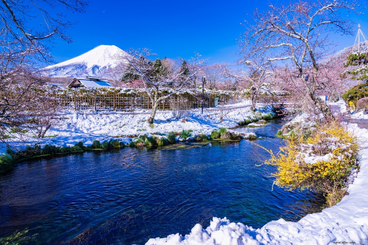 Train Journey from Tokyo: Discover the Great Buddha, Sparkling Lakes & Mt. Fuji Up Close