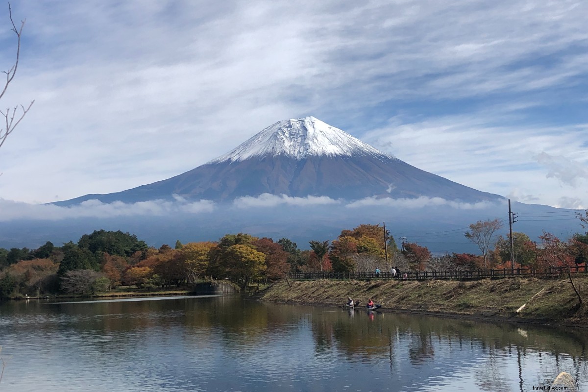 Train Journey from Tokyo: Discover the Great Buddha, Sparkling Lakes & Mt. Fuji Up Close