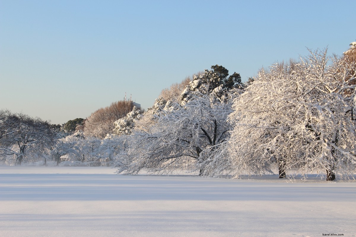 Train Journey from Tokyo: Discover the Great Buddha, Sparkling Lakes & Mt. Fuji Up Close