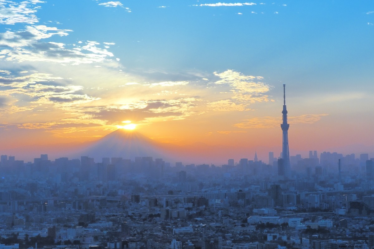 Train Journey from Tokyo: Discover the Great Buddha, Sparkling Lakes & Mt. Fuji Up Close