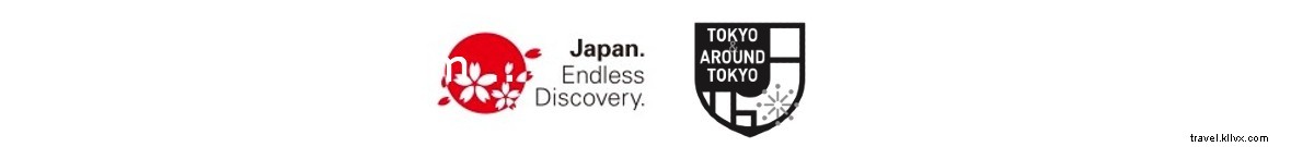 Train Journey from Tokyo: Discover the Great Buddha, Sparkling Lakes & Mt. Fuji Up Close