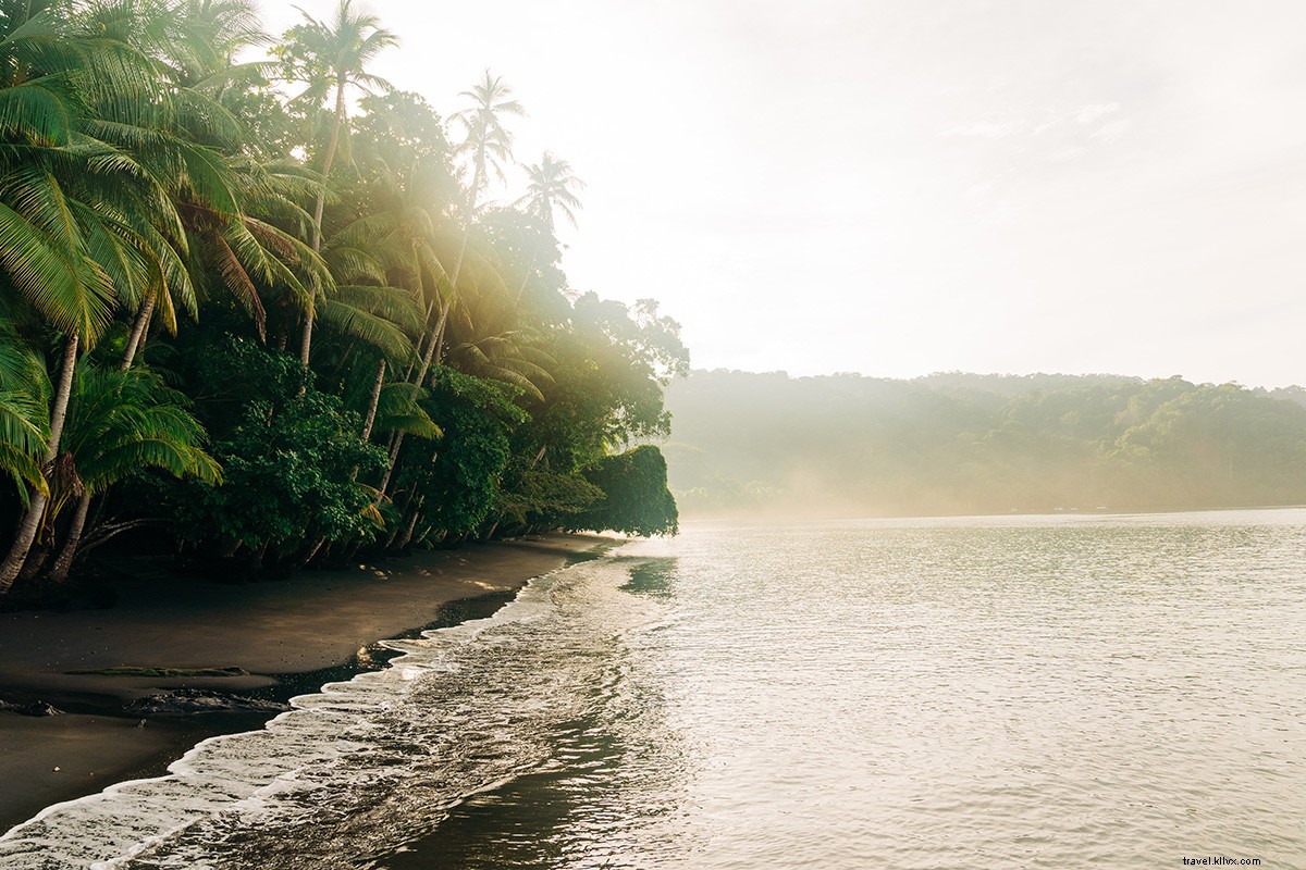 Playa Cativo Lodge: Exclusive Off-the-Grid Eco-Luxury in Costa Rica s Osa Peninsula