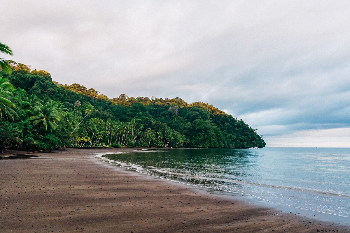 Playa Cativo Lodge: Exclusive Off-the-Grid Eco-Luxury in Costa Rica s Osa Peninsula