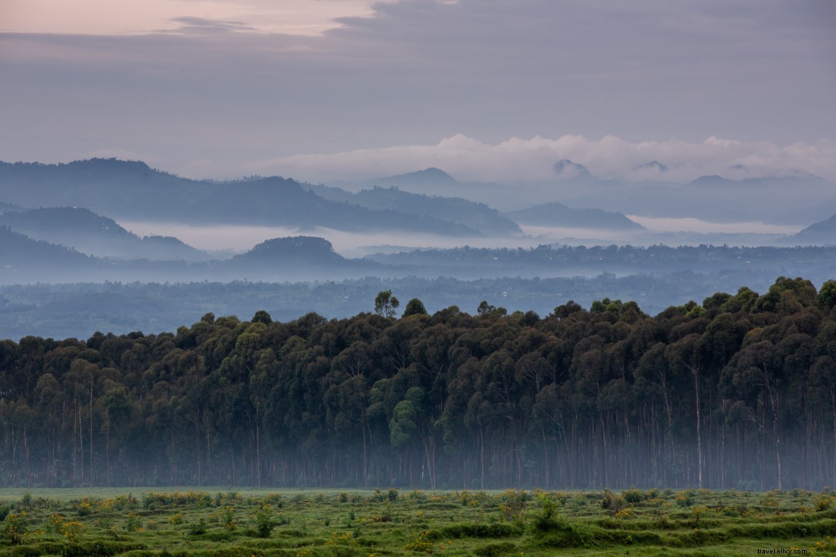 Rwanda s Thriving Boom: Kigali Adventures and Singita Volcanoes National Park Wonders