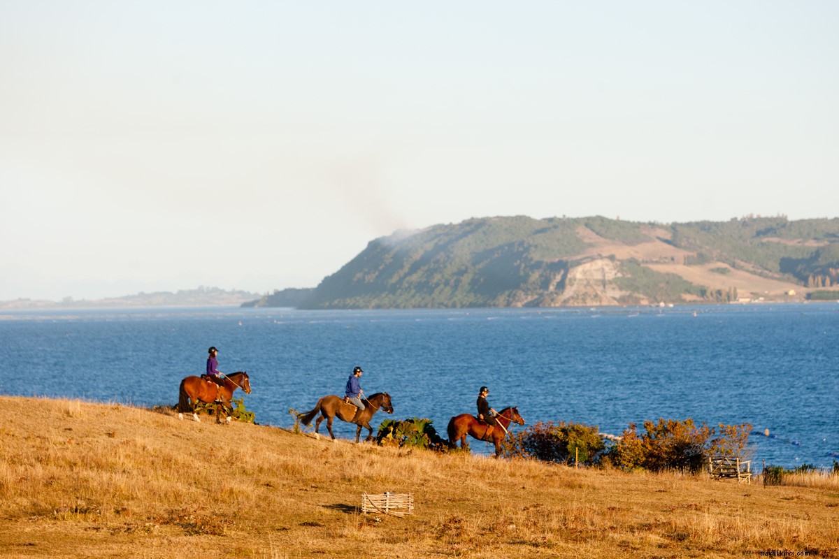 Tierra Chiloé: Adventure and Serenity on Chile s Remote Chiloé Island