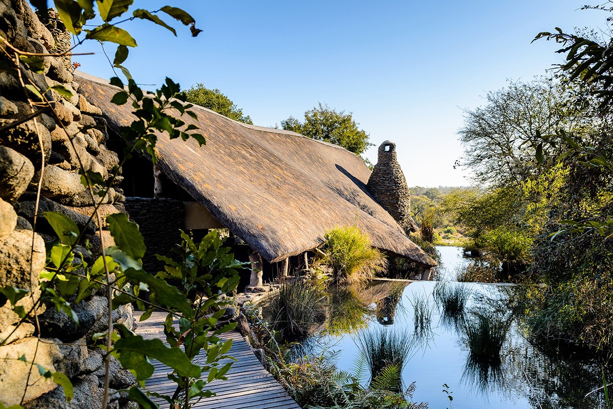 Unforgettable South African Safari: My Dream Stay at Sabi Sand Reserve