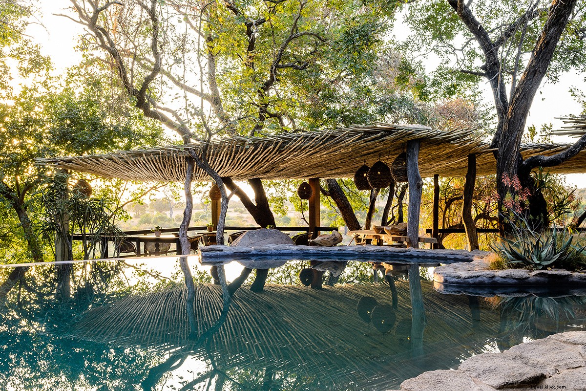 Unforgettable South African Safari: My Dream Stay at Sabi Sand Reserve