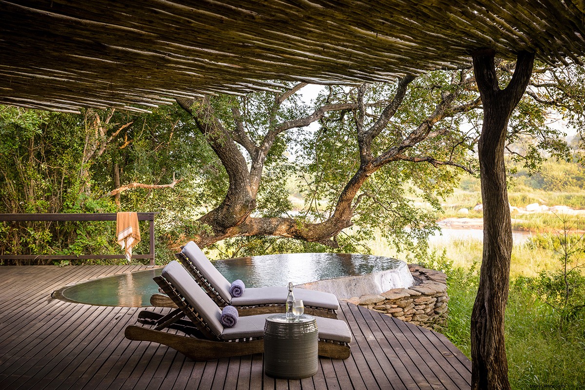 Unforgettable South African Safari: My Dream Stay at Sabi Sand Reserve